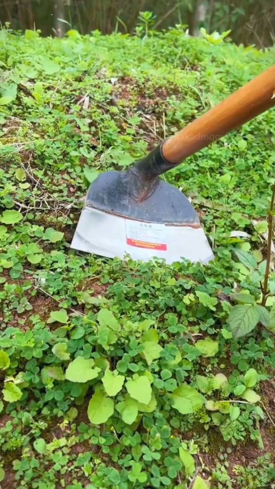 Steel Hardened Gardening Shovel Weeding Hoe Farm Shovel Rake GardenTools Asarol For Garden#Manganese steel hoe # weeding hoe # efficient energy utility # hardware tool#fyp #foryou #tiktokshop #goodthing 