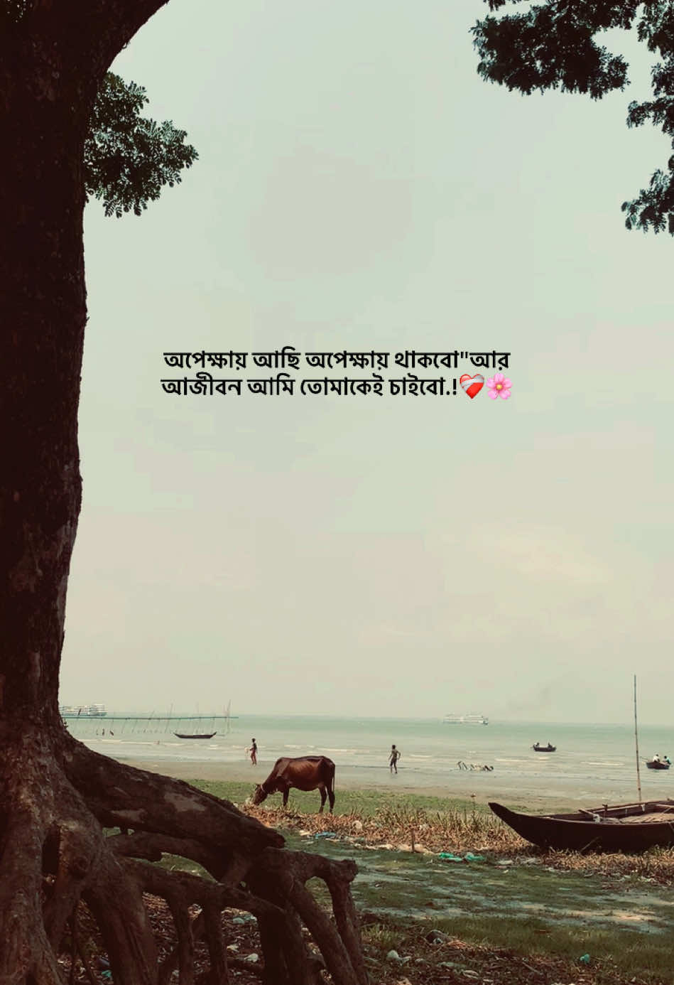 বুঝলে মায়াবতী~🫶🌸  #bd #tiktok #foryou @TikTok @For You 