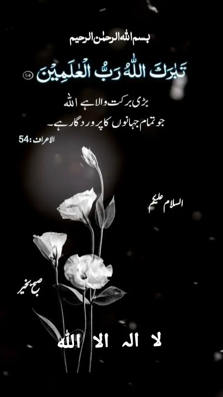 #🤲🤲🤲  #بسم_الله_الرحمن_الرحيم  #صباح_الخير 