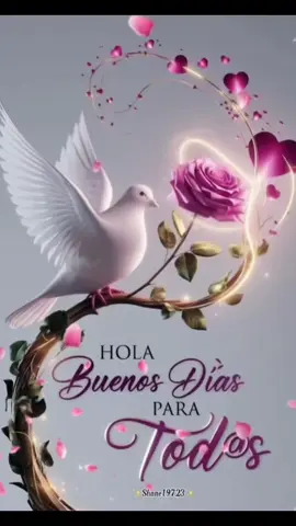 #domingomuybuenosdias#lindodia #parati #concariñoparati #frasesmotivaciones♥️♥️🙏💪 #felizdiaparatodos😘😘😘 #positiva