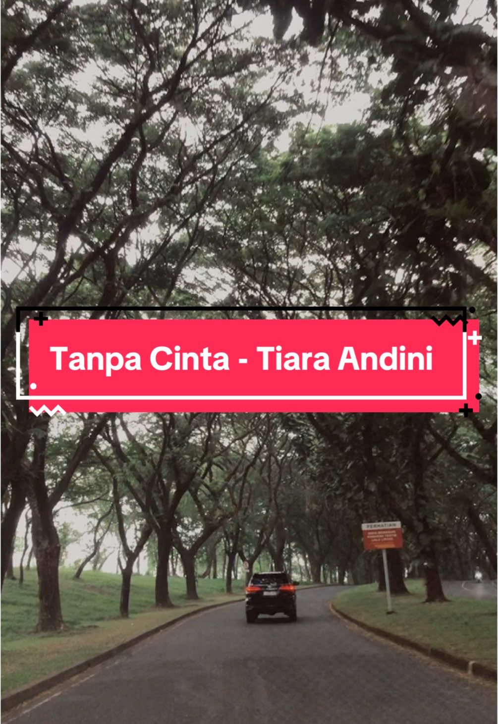 Pernah bodoh karena cinta? #foryou #tanpacintayovieandnuno #tanpacintatiaraandiniversion #liriklaguindoviralbanget #laguindoterbaikk #deretanmusikindonesia #fyp #fypシ゚viral #xyzbca #CapCut 