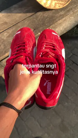 tidak bisa di ragukan lagi speedcat😍#pumaspeedcat 