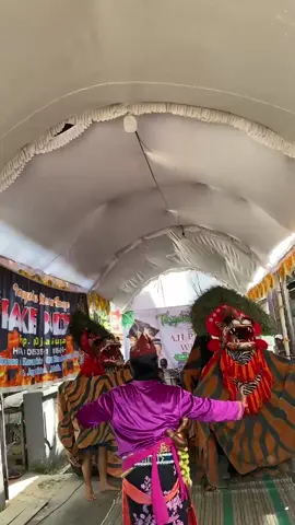 pakisbudoyo🐯 #barongankudus #barongannusantara #kudus #barongankudusasli #kudus24jam #kuduspride #kuduskotakretek #kudusviral #fyp #hiburankudus 