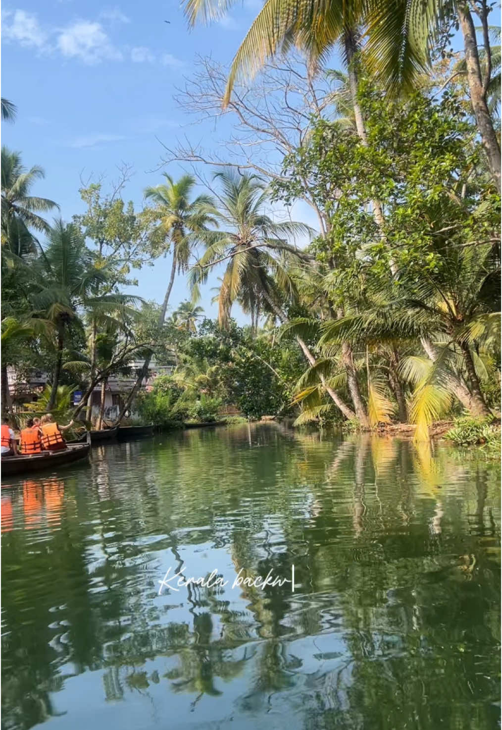 gorgeous gorgeous gorgeous  #keralabackwaters  #travelindia #keralaindia #traveltok  
