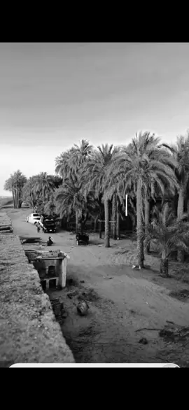 #الطنبور_صديقنا_وعزنا_وملجانا🎶 #سودانيز_تيك_توك_مشاهير_السودان #شوايقه💚السودان_مروي_الخرطوم_بحري_امدر #شوايقة_والحالة_رايقة #القوات_المسلحة_السودانية #الشعب_الصيني_ماله_حل😂😂 