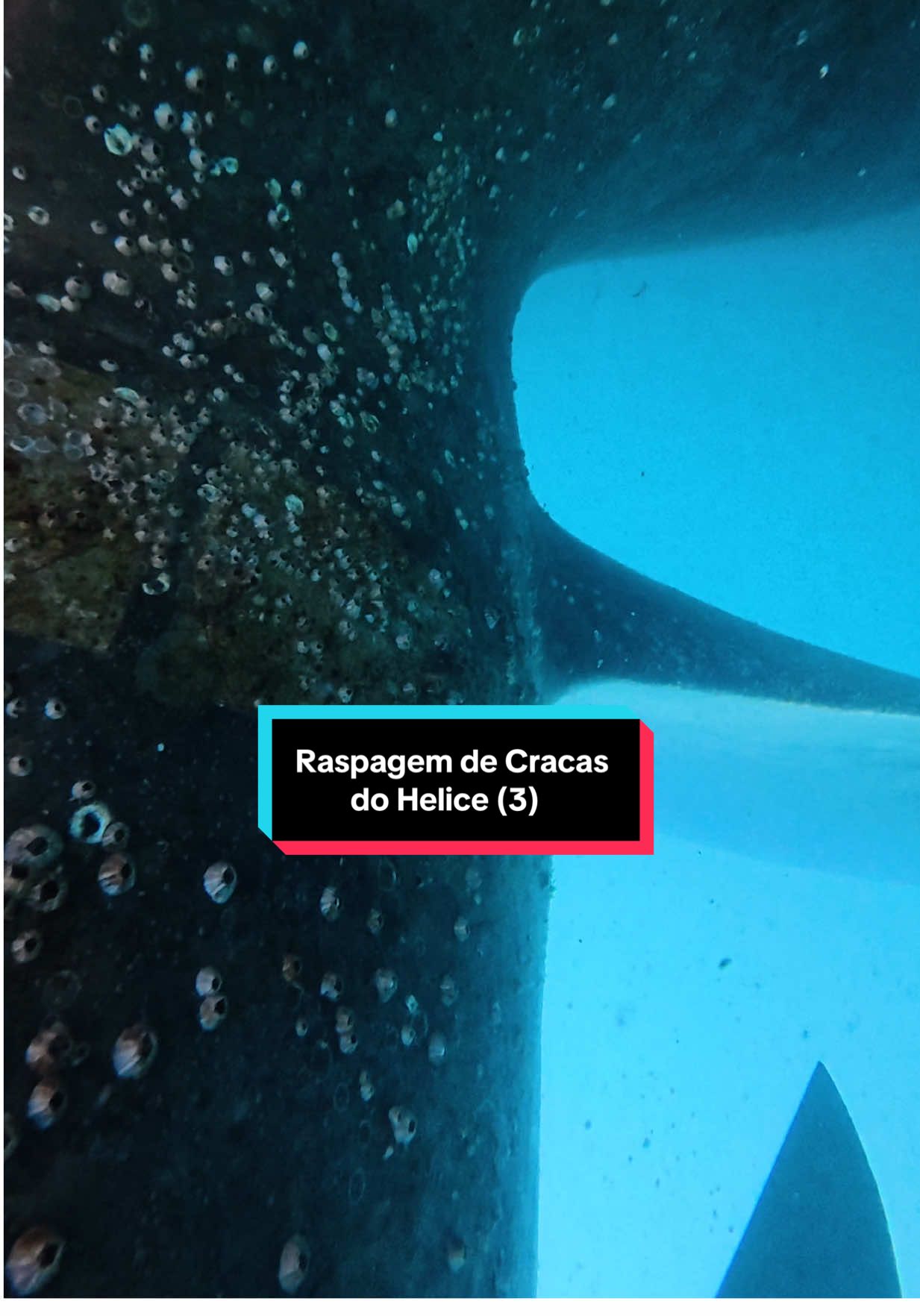 Raspagem de Cracas do Hélice (3) #workhard #dive #ship #work #propeller #mergulho #buceo #trabalho #maritime 