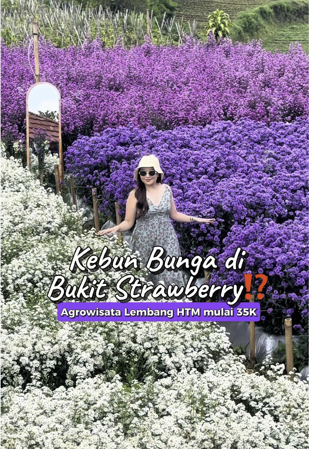 Kebun bunga cantik di Bukit Strawberry Lembang⁉️ #ketschoice #keketapproved #kebunbungalembang #bukitstrawberrylembang #wisatalembang 