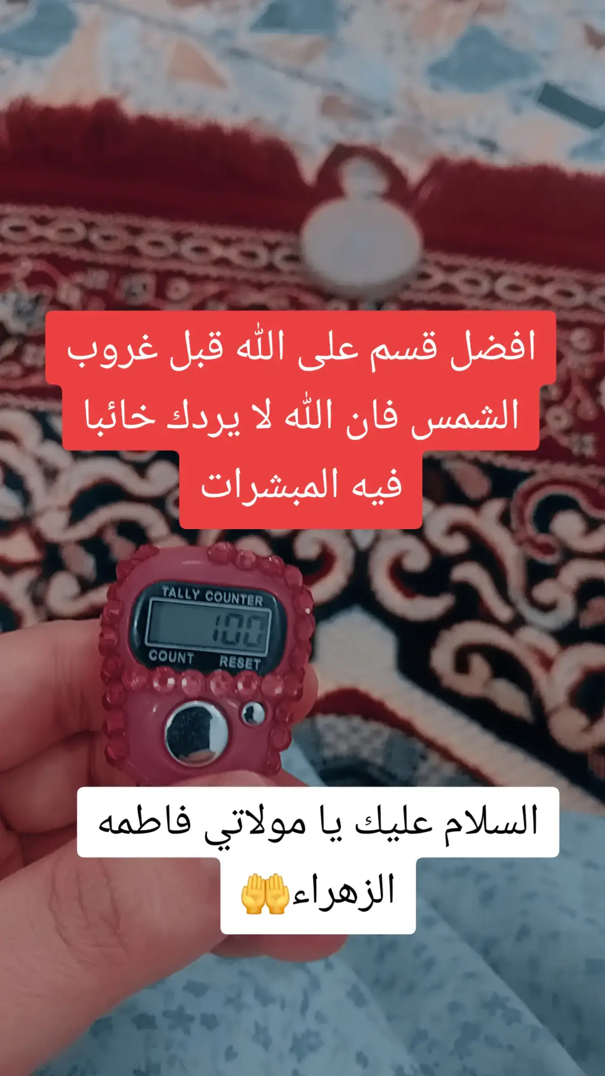 #مولاتي_فاطمة_الزهراء #تسبيح_الزهراء_عليها_السلام #اللهم_عجل_لوليك_الفرج #اللهم_صلي_على_نبينا_محمد #fyp #زهراء🌿🌿🌿 #زهراء_علي_المياحي🌿 