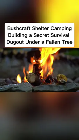 Bushcraft Shelter Camping; Building a Secret Survival Dugout Under a Fallen Tree#campinglife #camping 
