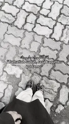 #fyp #arabicsong #syairarab 