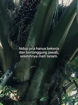 laki laki tak punya uang sepele kali di mata perempuan #4upage #fypシ゚viral #zxycba #trendingtiktok #kulisawitkalimantan #kulisawitriau #storysawit #sawitjambi #trendingvideo #katakata #sawitontiktok 