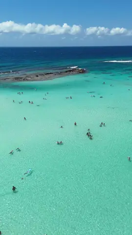 Just Aruba 🇦🇼 #aruba #carribean #travel #traveltok #fyp #foryou #amazingviews #beautiful #goviral 