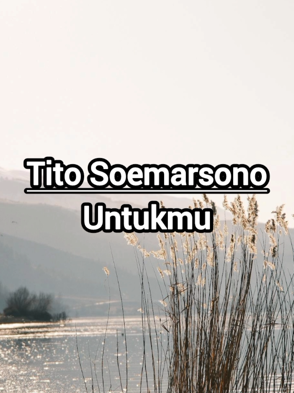 Tito Soemarsono - Untukmu #liriklagu #titosoemarsono #laguindonesia #lagu90an #laguhits #fyp #tiktok 