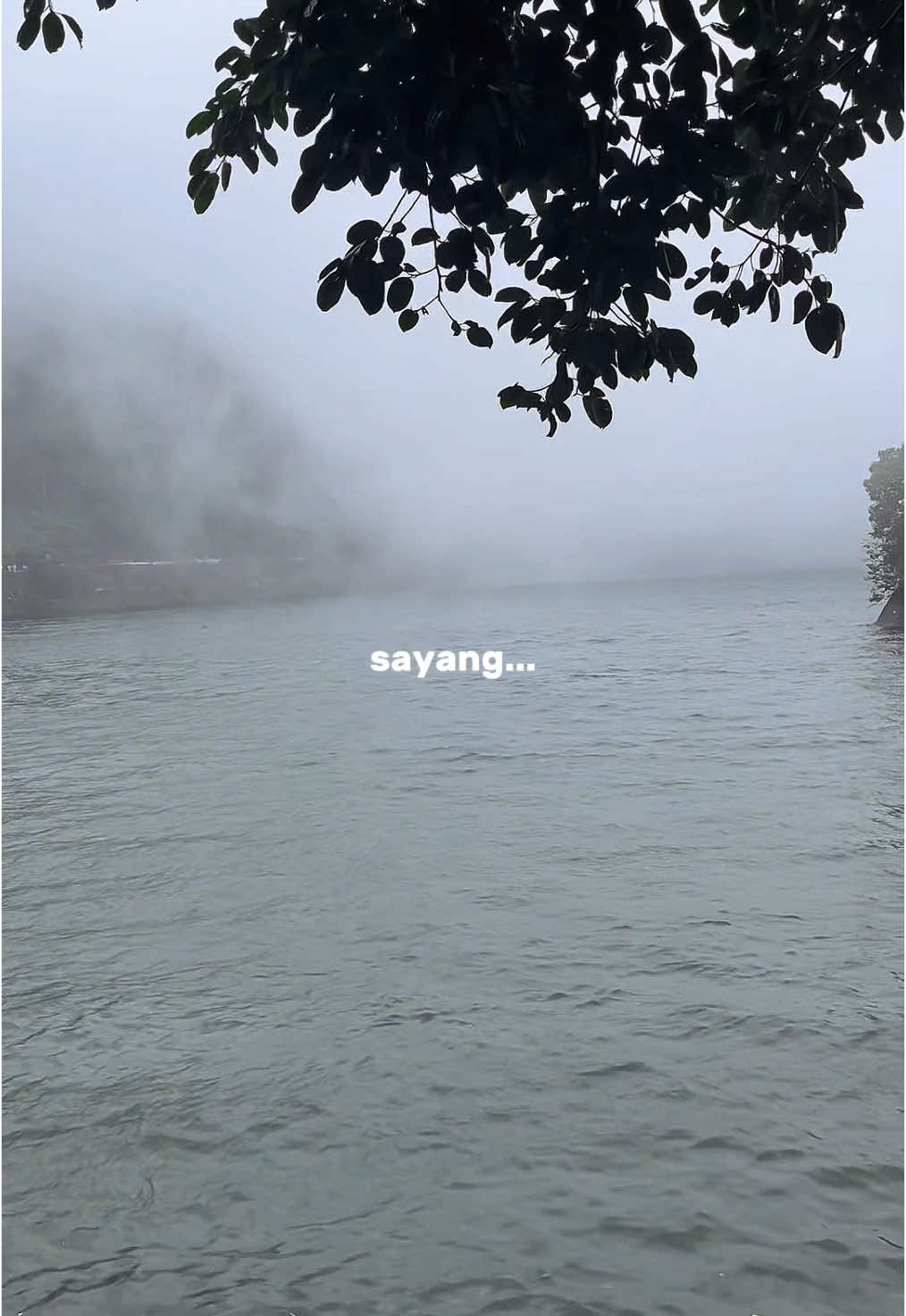 Seneng iki mung kowe sing ngerti #CapCut #lirik #virall #gomusikindo #cundamani #fyp #trending 