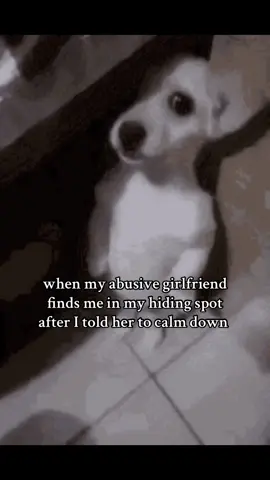 My gf is not abusive this is just a joke and I’m being dramatic ! #cat #catsoftiktok #kitten #catlover #kitty #dog #puppy #dogsoftiktok #catmeme #gf #ilovemygf #girlfriend #bf #Relationship #couple #couplegoals #cute #meow #fyp 