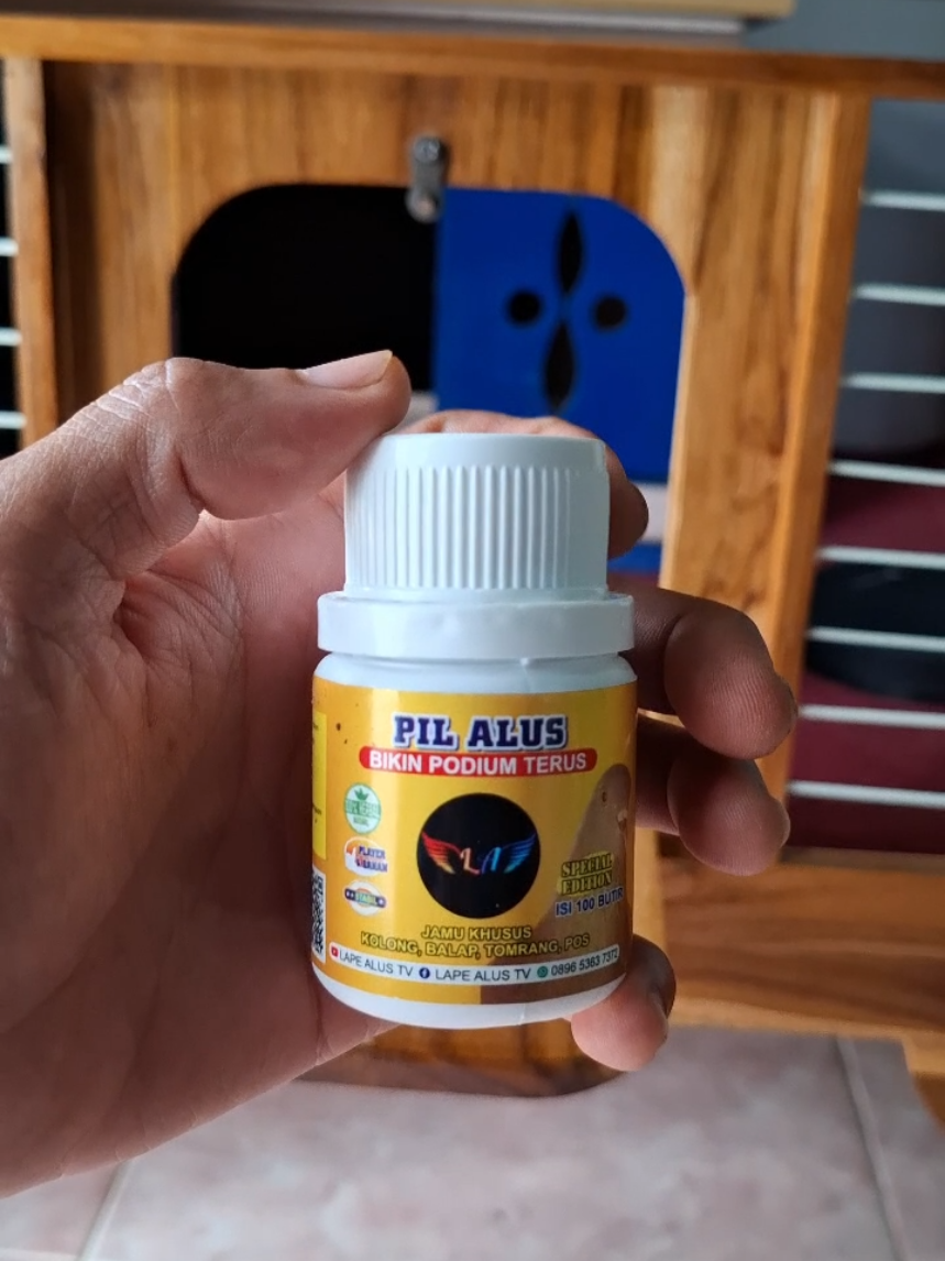 Pil Alus. #merpatikolongbebas #merpatikolongmeja 