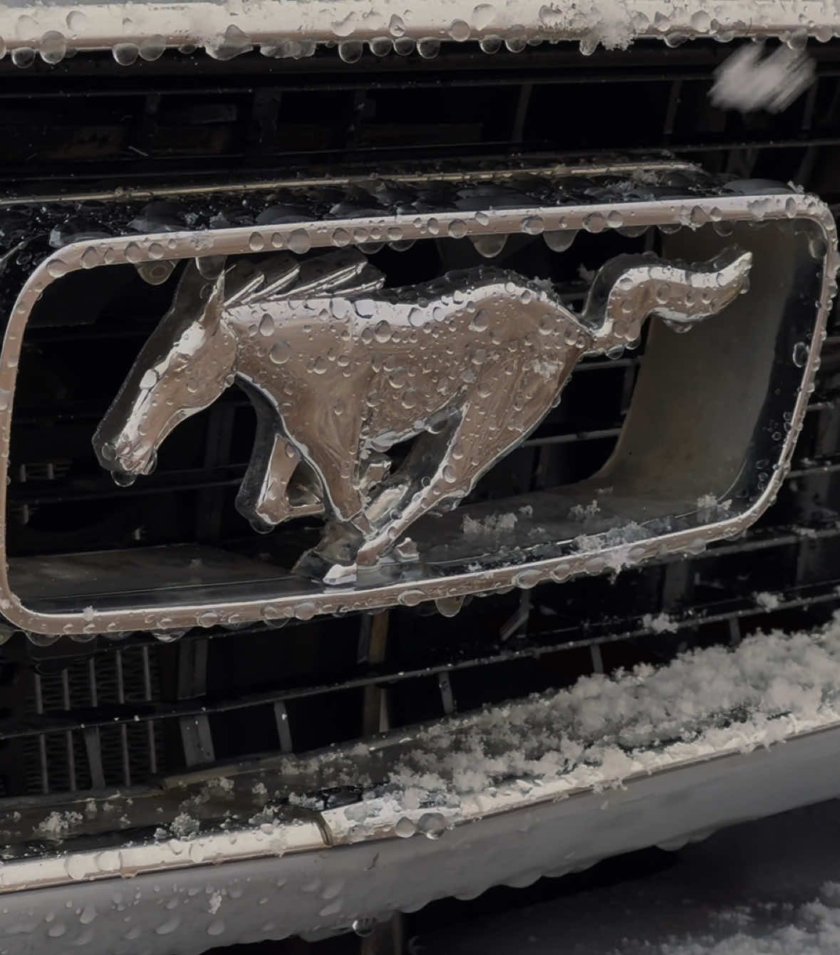 ⛄️ #66mustang #classicmustang 