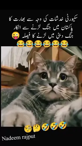 #Fani cat video😂😜#foryoupage❤️❤️tiktok #foryouforyou #