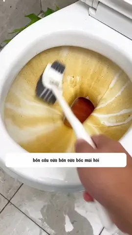 Thanh bồn cầu #dogiadung #dogiadungtienich #dogiadungthongminh #meovat #viral #tiktok #xuhuong #fyp 