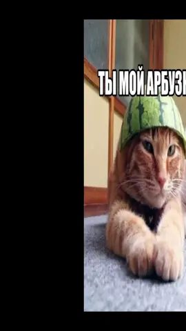 Трек абсурд! - брат#1 #братан #рекиии #рекомендации #рексрочно 