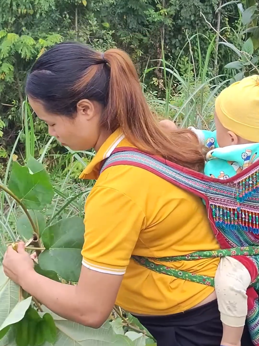 Pick vegetables and cook pork bran in exchange for rice.Daily life of a single pregnant mother
