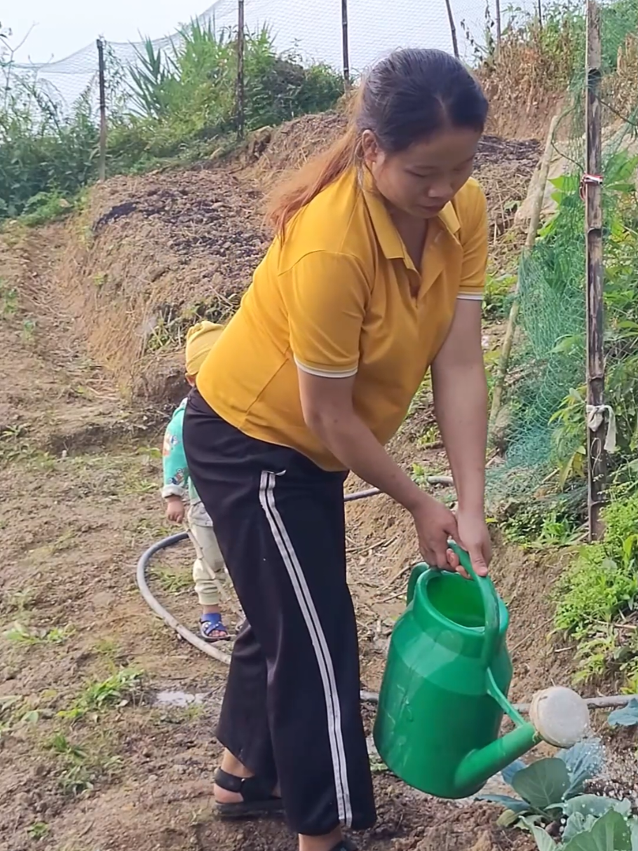 Pick vegetables and cook pork bran in exchange for rice.Daily life of a single pregnant mother