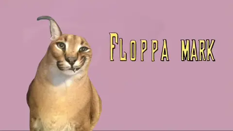 flopa mark 💀💀💀 #invincible #рек #неуязвымый #шлёпа #floppa 