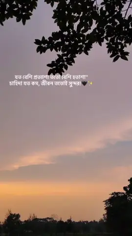 যত বেশি প্রত্যাশা ততো বেশি হতাশা