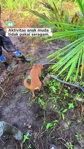 “Kita coba mulai dari sini,berhasil atau tidaknya itu urusan nanti”🌴🌴#lewatberanda #CapCut #kuli #pyfツ #fyppppppppppppppppppppppp #xyzbca #kulisawit 