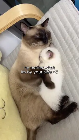 I love you so so much
