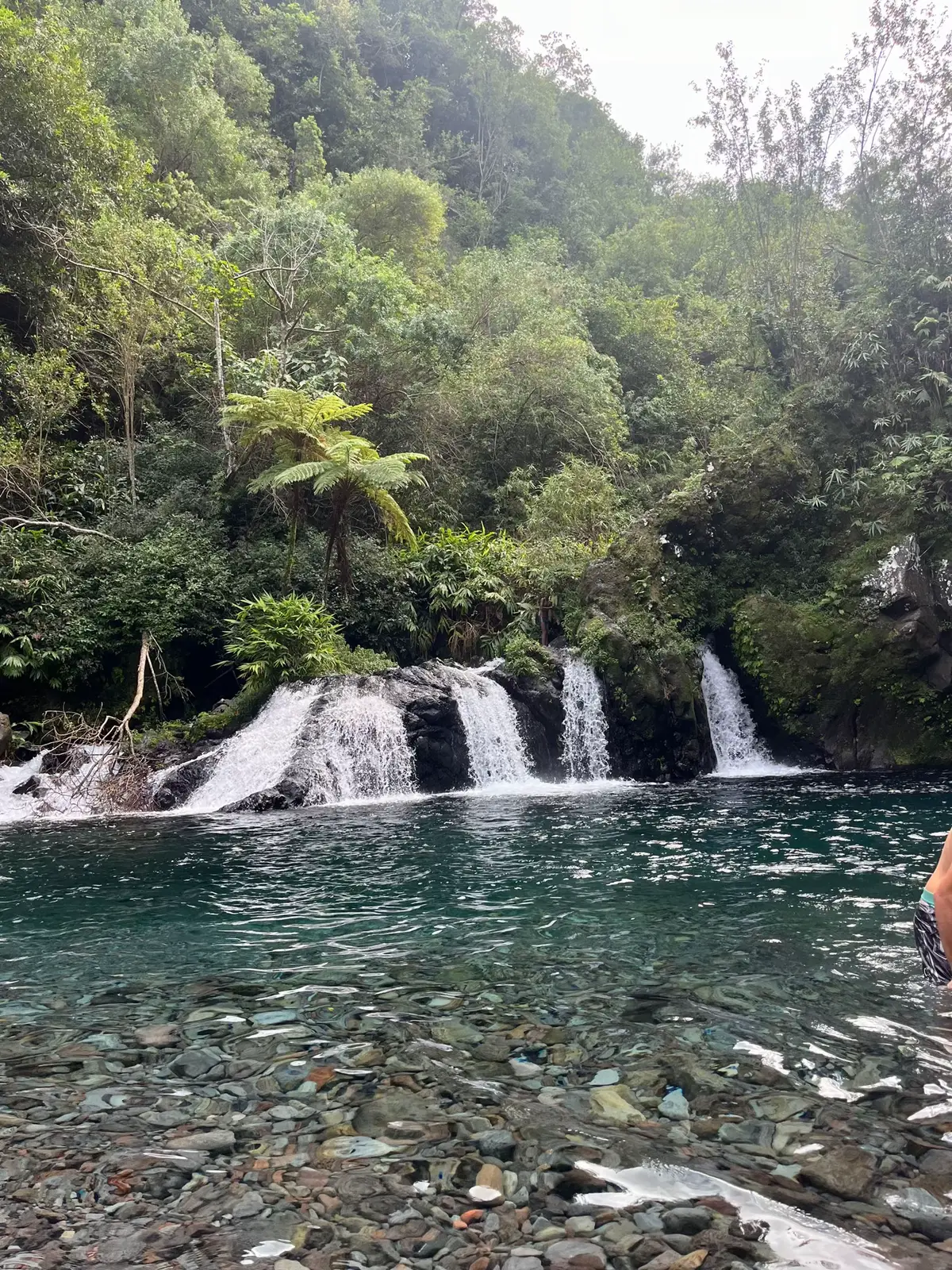 #reunionisland 