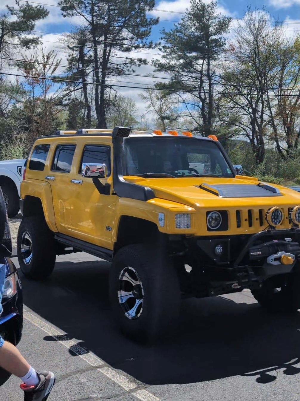 kicks fin ass #brainrot #madagascar #cars #hummer 