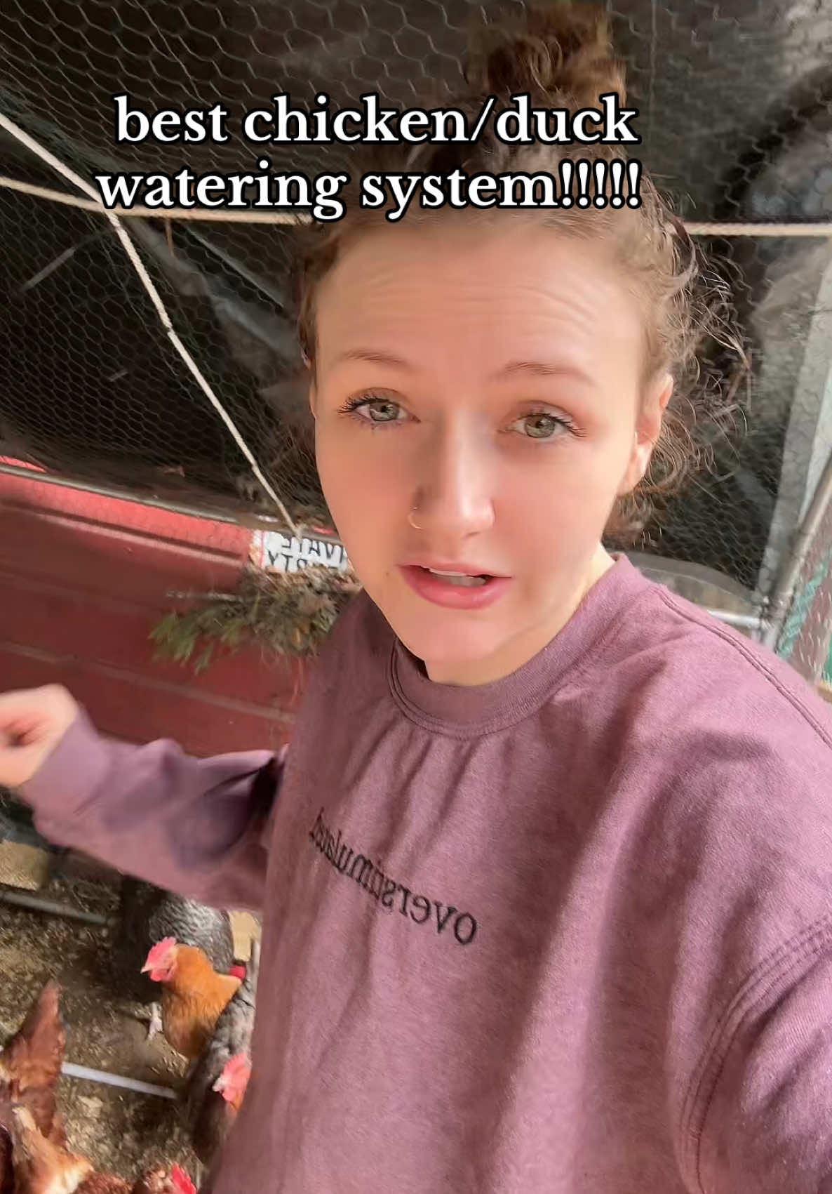 we've had this going for a few months now and LOVE it #chickens #chickencoop #chickenhacks #homesteading 
