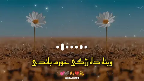 وینہ دہ زڑگی خورم 🩸🥀 . . . ####rungcheainer1  ####bayparwa6 