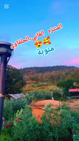 🇹🇳🇹🇳🇹🇳