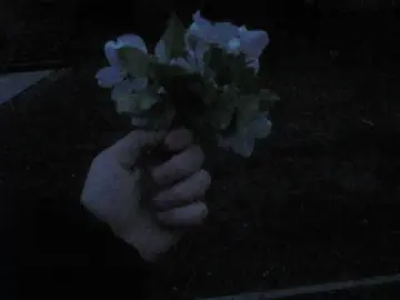 одиночество