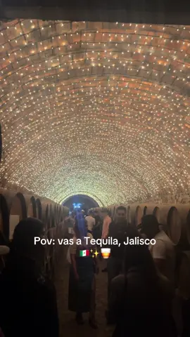 Tequila, Jalisco, es absolutamente digno de visitar. #tequilajalisco🇲🇽 #pueblomagico #paraisoazultequila #cantaritoselgüero 