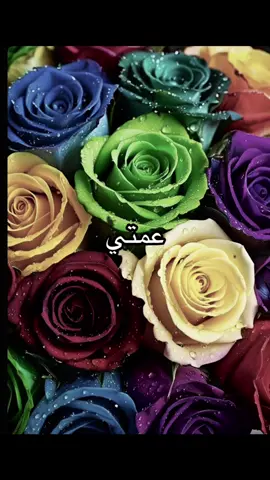 #حسب_الطلب #حسابي_الرسمي_على_التيك_توك 
