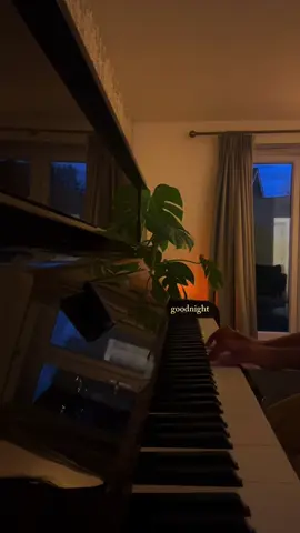 the night is black and the stars are bright and the sea is dark and deep… #piano #nostalgia #2000s #pianotok #inthenightgarden 