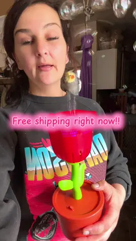 Have a Bible obsessed child? Get them this!! #bubblerose #bubblemachine 