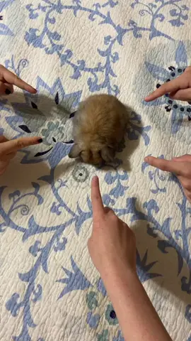 small