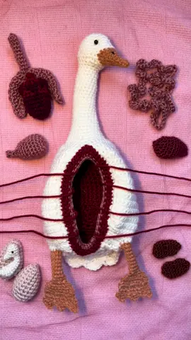 my newest dissection, a white duck ♥️ she has eggs and an embryo!! I love her!! I’ll be writing this pattern next. check out my etsy for my other crochet patterns. link is in my bio ♥️ #fiberart #fiberarts #fiberartist #fiberartistsoftiktok #crochet #crochettiktok #crochetersoftiktok #oddity #oddities #art #crochetoddity #crochettok #fiberartists 