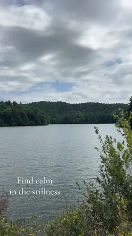 You don’t always have to be moving. Sometimes doing nothing is the most productive thing you can do for yourself. #nature #fyp #fypシ #gratitude #MentalHealth #grateful 