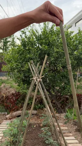 This Changed My Farm Life Forever! #knot #rope #knottutorial #knottutorials #campinghacks #camping #knotsforcamping #knotsforfishing #knotsforbeginners #lifeskill #LifeHack #boyscouts #bushcraft #survivalskills #Outdoors #knotting #sheetbend #hitch #simpleknot #bestknot