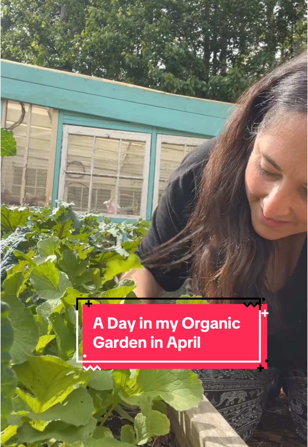 A little garden day vlog 🌱 What would you like to see more of next?  ✨ Check the link in my bio to join my garden mentorship this summer - it starts in one week! ✨ #organicgardening #gardentips #gardening101 #gardeningtips #gardeningtiktok #backyardgarden #gardeninghack #verticalgardening #gardeninglife #homesteadtiktok 