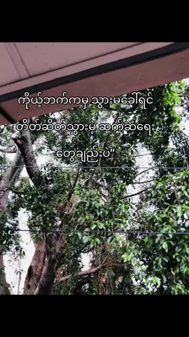 #ဒီတပုဒ်တော့fpyရောက်ချင်တယ် 