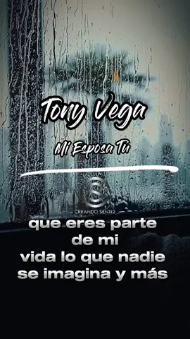 Tony Vega - Mi Esposa Tú #salsa #salseros #salsabaul #tonyvega #miespodstu #creandosenti2 #bailadores #salsaromantica 