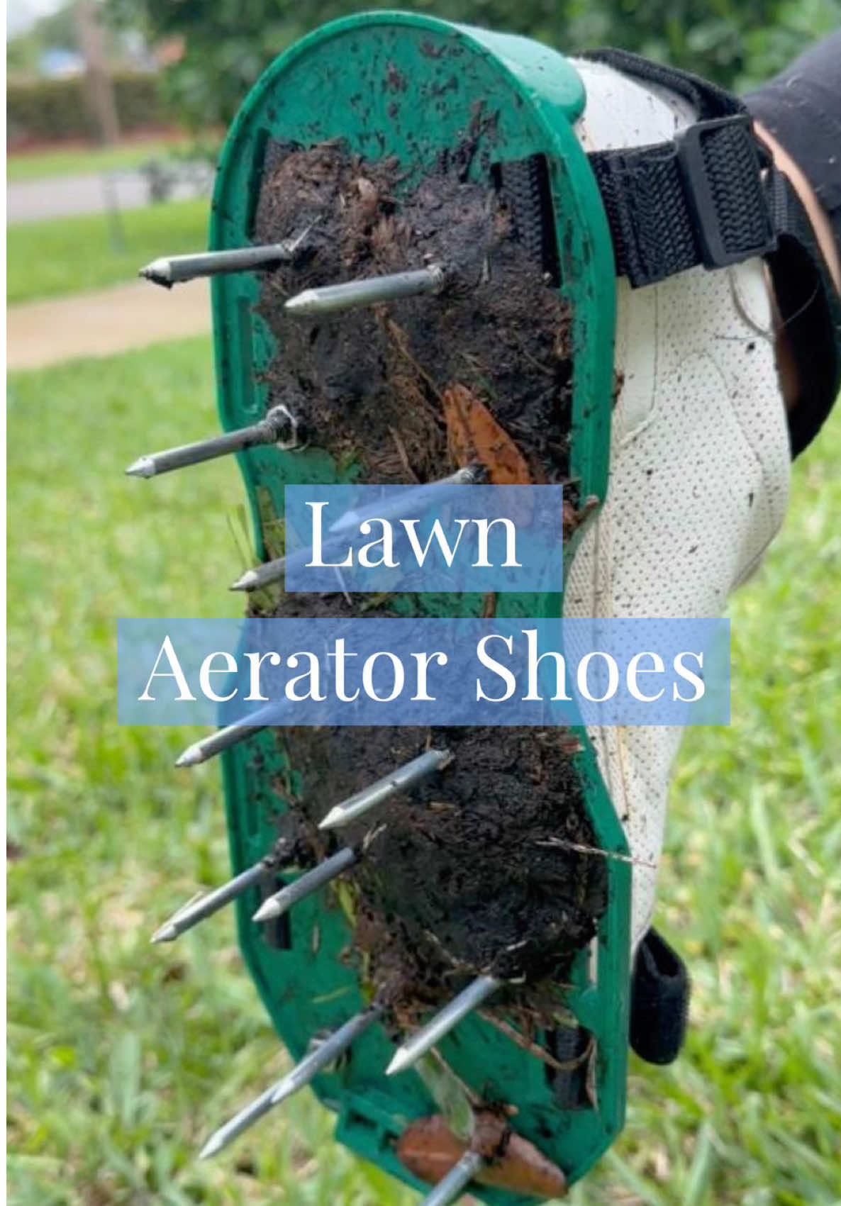 Where have these been!? 😯🙌 Find these under ✨Lawn & Garden✨ on my website. #amazon #amazonfinds #amazonmusthaves #lawn #garden 