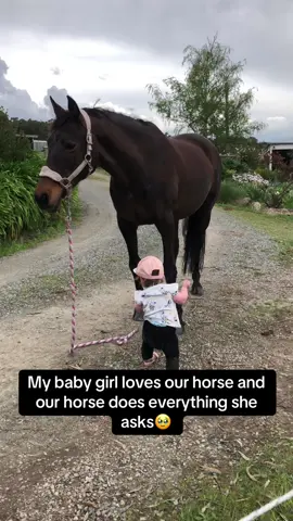 What a sweet horse😭❤️ #Pubity (Katie Craig - KC Equestrian via ViralHog)