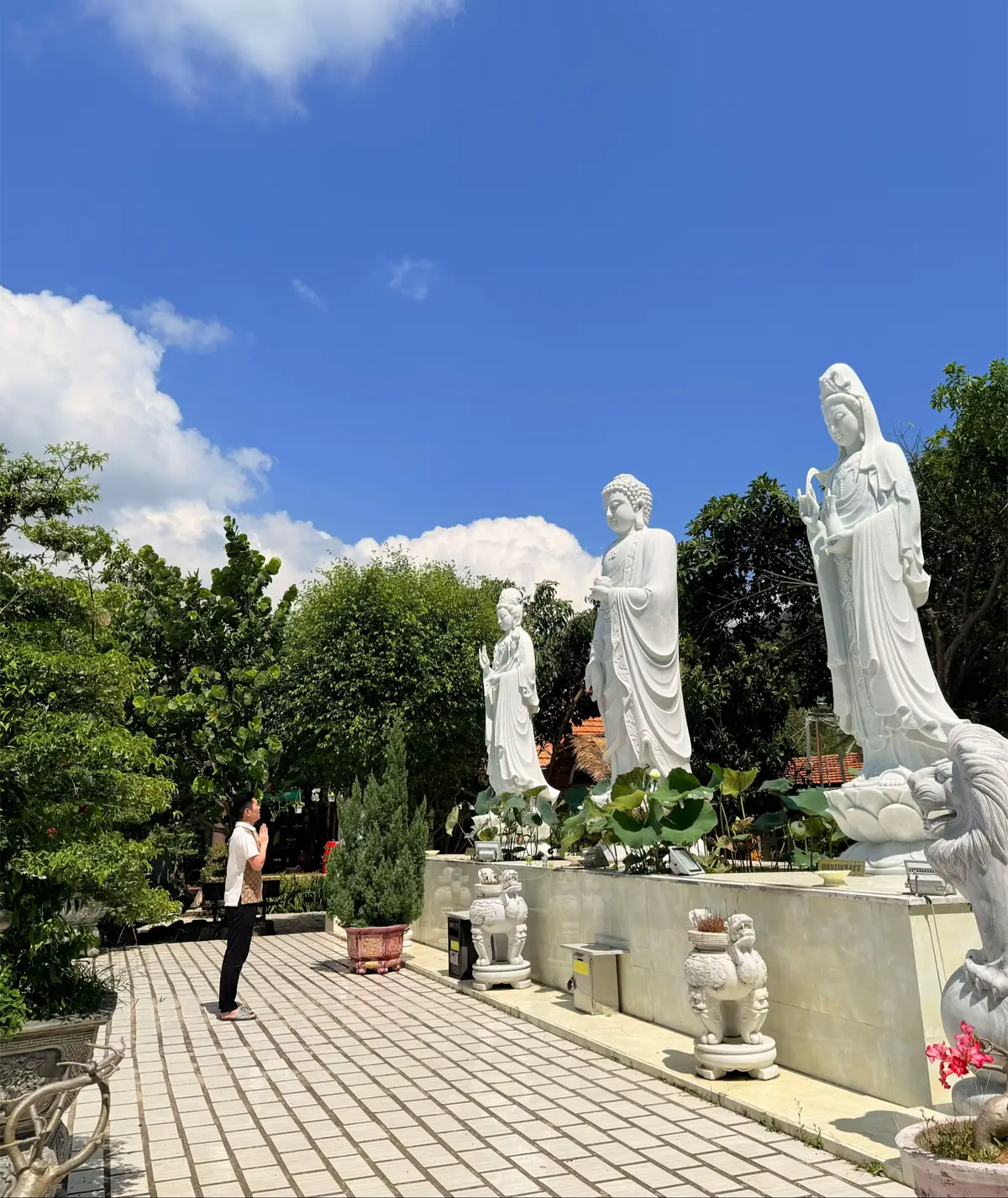 Mùng 1 chúc cho toàn thể mọi người được bình an mạnh khoẻ☘️☘️🥰🥰